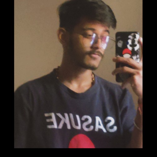 Ansh S. profile photo