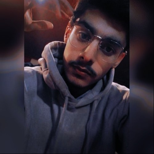 Ali Y. profile photo
