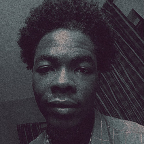 Temidayo  P. profile photo