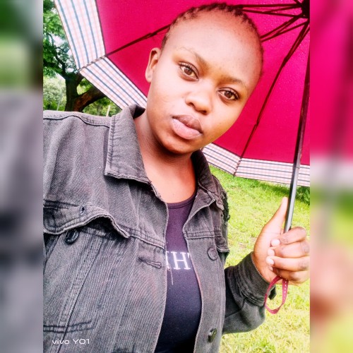 Nelly N. profile photo