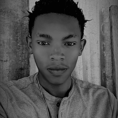Damon M. profile photo