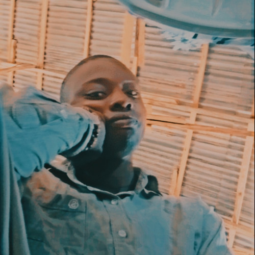 akinola a. profile photo