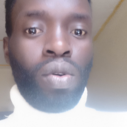 Aero O N. profile photo
