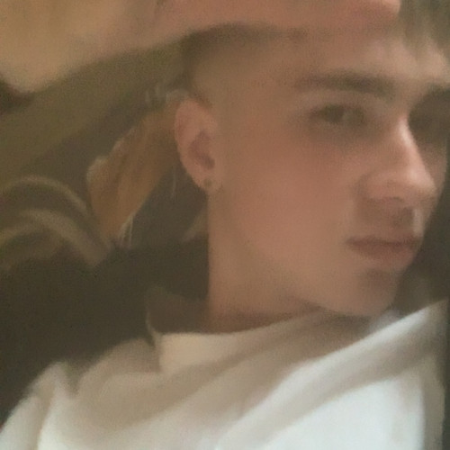 dominik k. profile photo