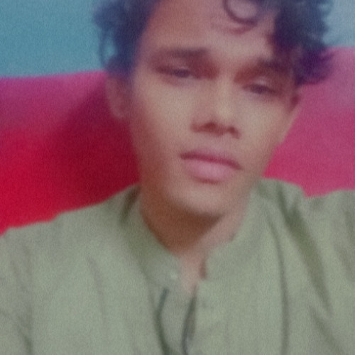 Arman S. profile photo