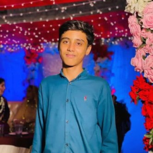 Shahmeer B. profile photo