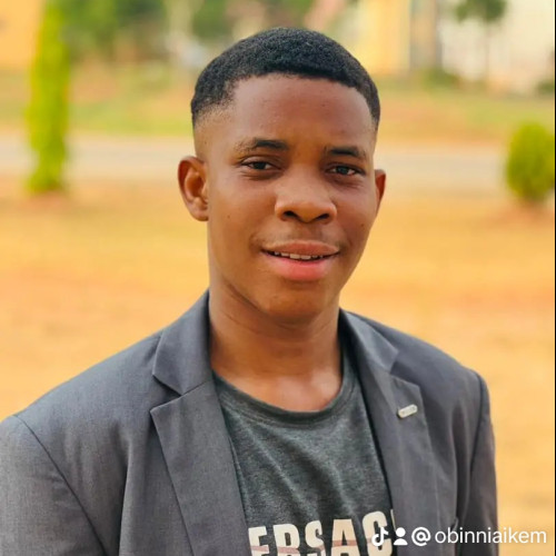 Chibuikem O. profile photo