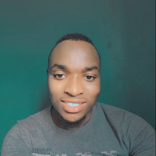 Dan N. profile photo