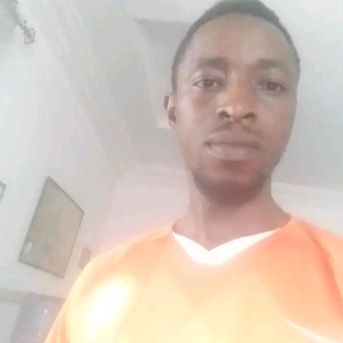 Abayomi A. profile photo