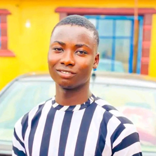 Adedeji  F. profile photo