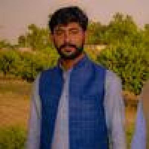 Hameed U.