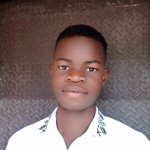 Shalom B. profile photo
