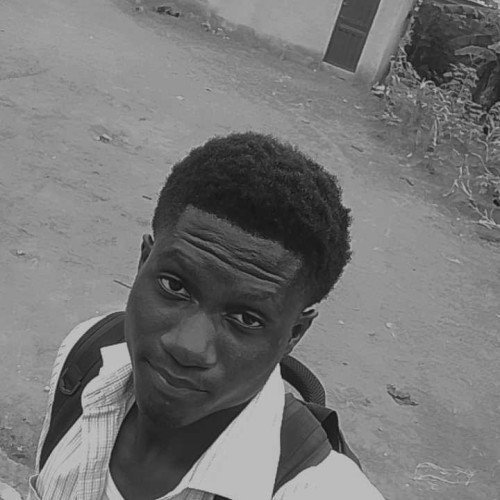 Omojola P.