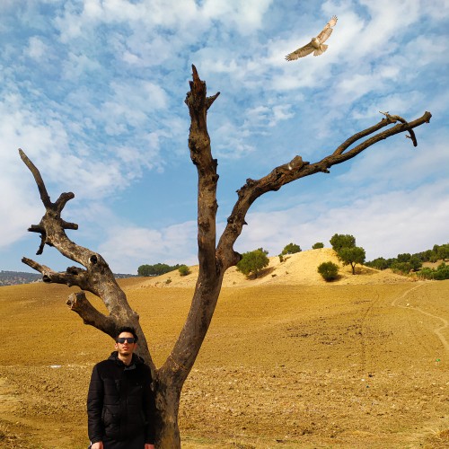 Anouar  T.