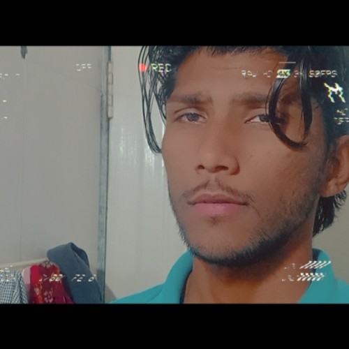 BHAVESH J.