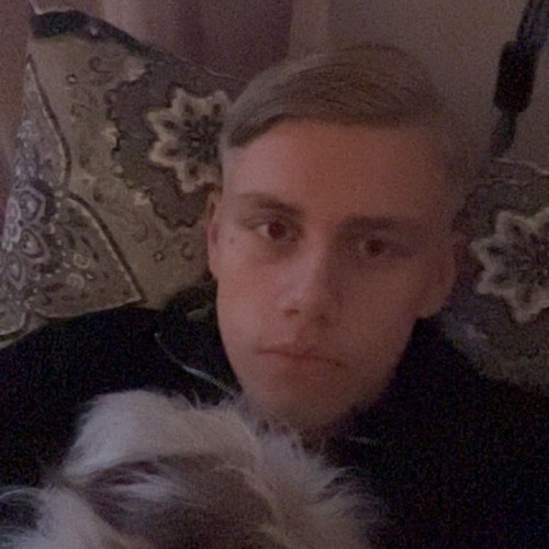 ALVIN L. profile photo