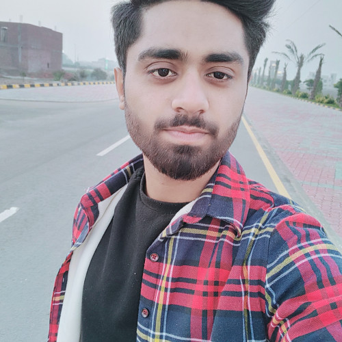 Huzaifa S. profile photo