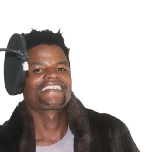 Andile M. profile photo