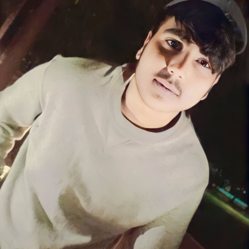 Saikat D. profile photo
