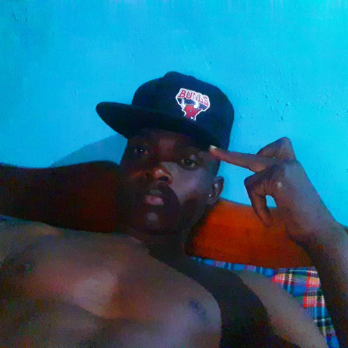 Vincent M. profile photo