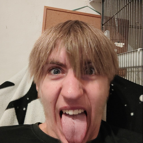 Matt P. profile photo