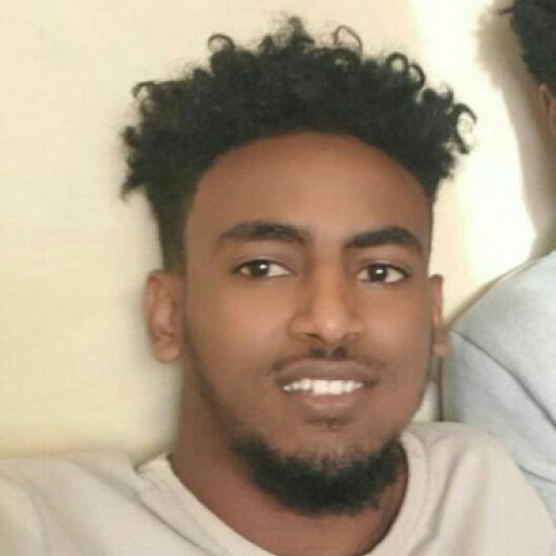 Abebe M. profile photo