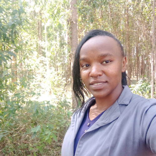 Ann M. profile photo