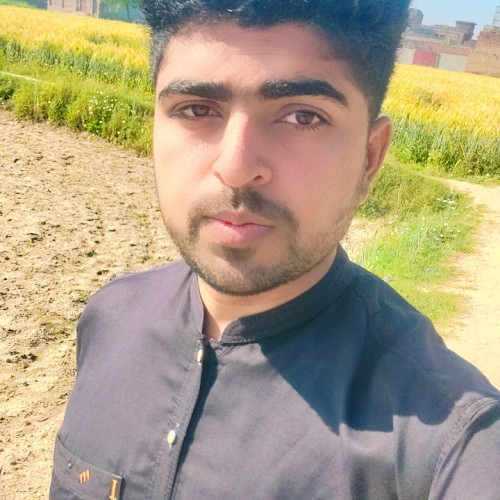 Ameer  H.
