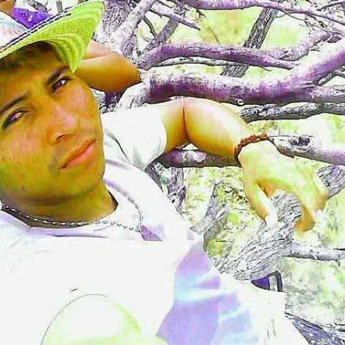 Danilo S. profile photo