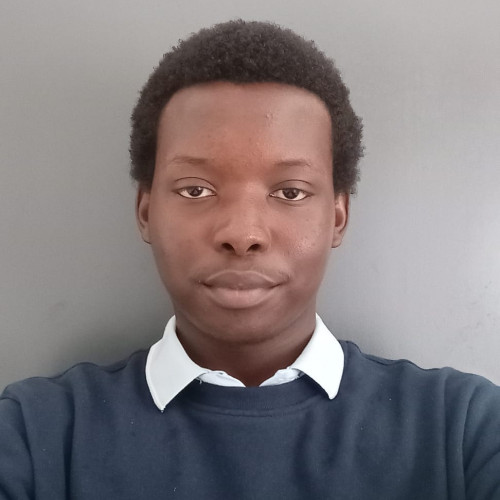 Owen K. profile photo