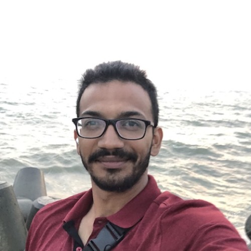 Saransh V.