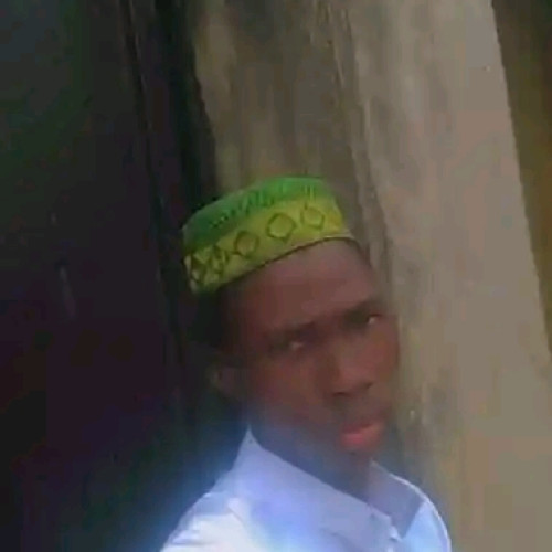 Adedeji S. profile photo