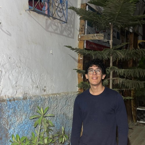 Salaheddine a. profile photo