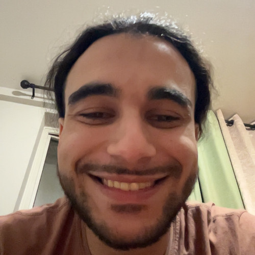 Ali D.