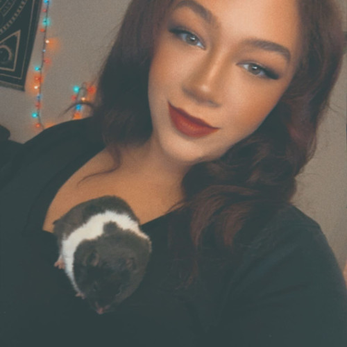 Olivia S. profile photo