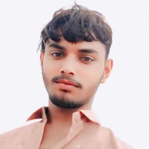 pk pagal n. profile photo