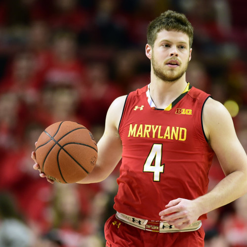 Andrew  T. profile photo