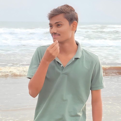 PAsha S. profile photo