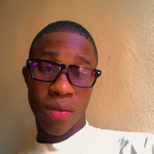 Udekwe  P. profile photo