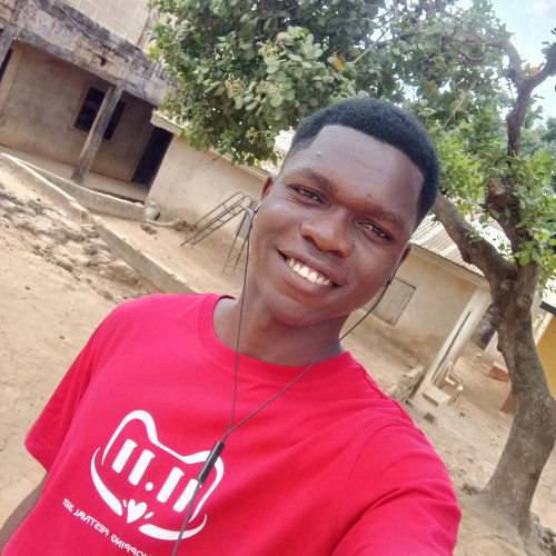 Chidiebere  I. profile photo