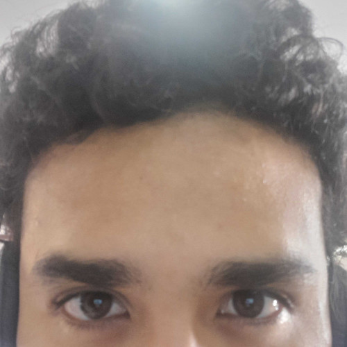 LUIS D.