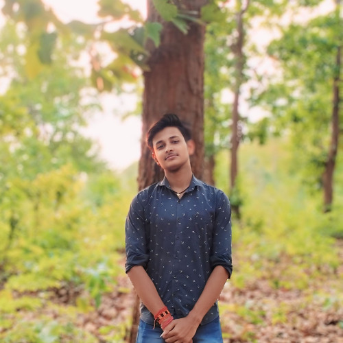 Khageswar N. profile photo