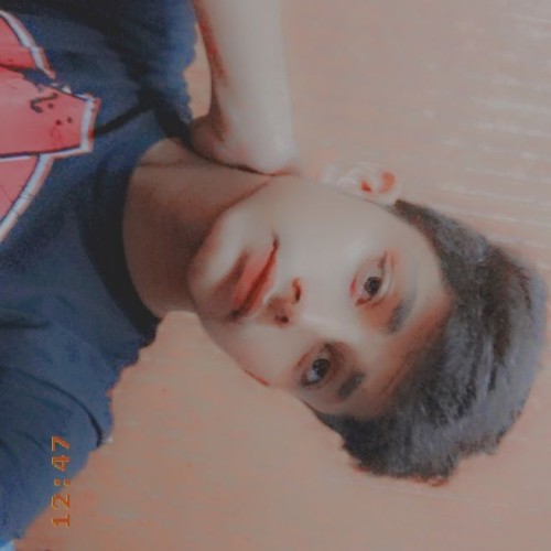 Amir  L.