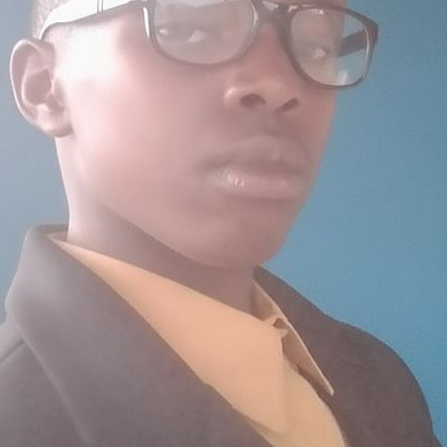 Olusola A. profile photo