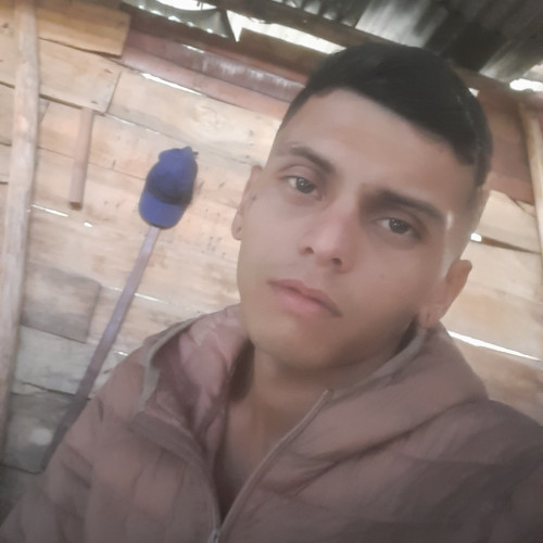 Daniel G. profile photo