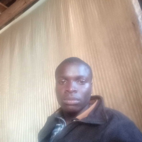 James o. profile photo