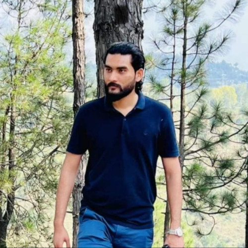 tayyab s.