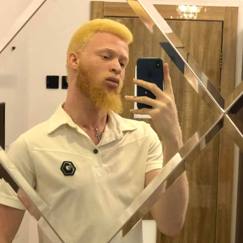 David O. profile photo