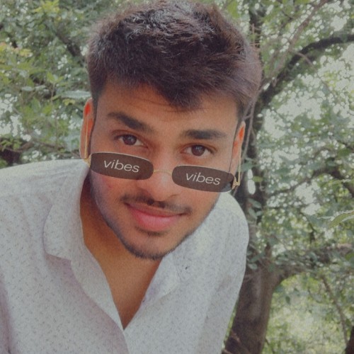 Ayush  S.