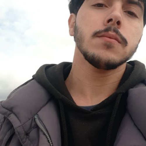 zaky  D.